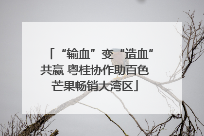 “输血”变“造血”共赢 粤桂协作助百色芒果畅销大湾区