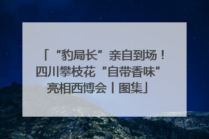 “豹局长”亲自到场！四川攀枝花“自带香味”亮相西博会丨图集