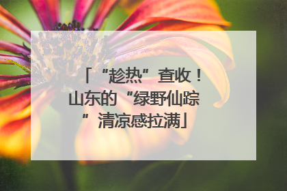 “趁热”查收！山东的“绿野仙踪”清凉感拉满