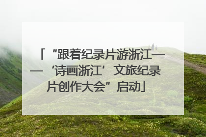 “跟着纪录片游浙江——‘诗画浙江’文旅纪录片创作大会”启动