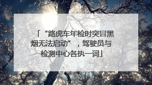 “路虎车年检时突冒黑烟无法启动”，驾驶员与检测中心各执一词