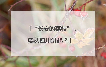 “长安的荔枝”，要从四川讲起？