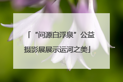 “问源白浮泉”公益摄影展展示运河之美