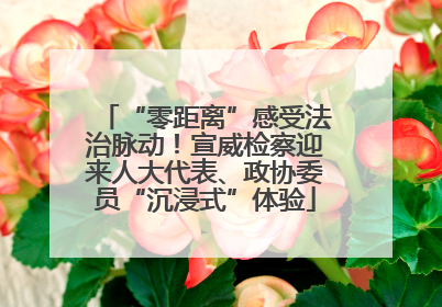 “零距离”感受法治脉动！宣威检察迎来人大代表、政协委员“沉浸式”体验