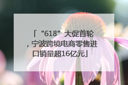 “618”大促首轮，宁波跨境电商零售进口销量超16亿元