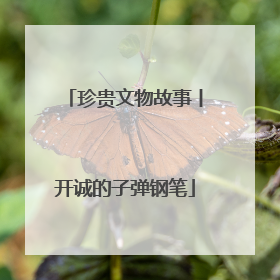 珍贵文物故事丨开诚的子弹钢笔