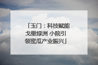 玉门：科技赋能戈壁绿洲 小院引领蜜瓜产业振兴