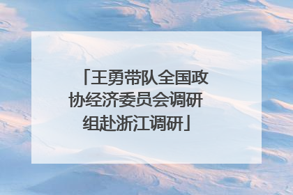 王勇带队全国政协经济委员会调研组赴浙江调研