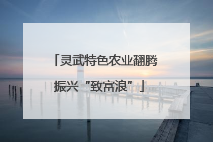 灵武特色农业翻腾振兴“致富浪”