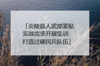 炎陵县人武部紧贴实战需求开展集训 打造过硬民兵队伍