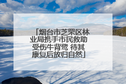 烟台市芝罘区林业局携手市民救助受伤牛背鹭 待其康复后放归自然