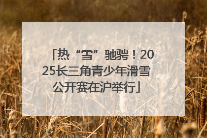 热“雪”驰骋！2025长三角青少年滑雪公开赛在沪举行