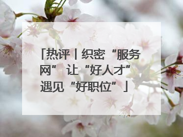 热评丨织密“服务网” 让“好人才”遇见“好职位”