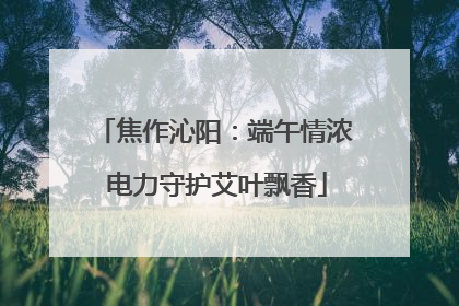 焦作沁阳：端午情浓 电力守护艾叶飘香