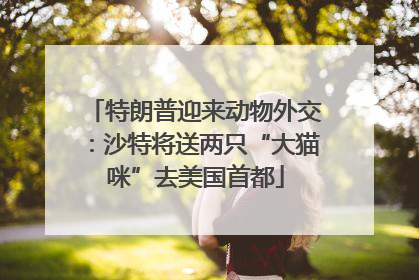 特朗普迎来动物外交：沙特将送两只“大猫咪”去美国首都