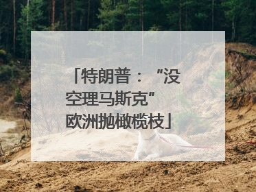 特朗普：“没空理马斯克” 欧洲抛橄榄枝