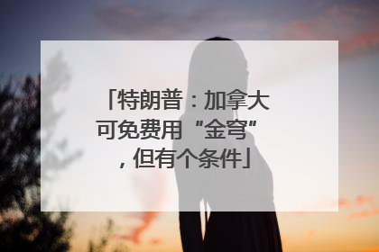 特朗普：加拿大可免费用“金穹”，但有个条件