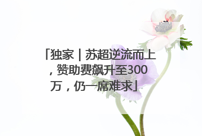 独家｜苏超逆流而上，赞助费飙升至300万，仍一席难求