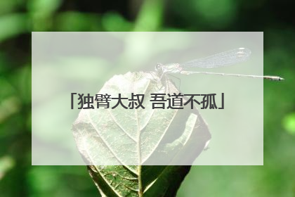 独臂大叔 吾道不孤