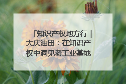 知识产权地方行｜大庆油田：在知识产权中洞见老工业基地的 “创新密码”