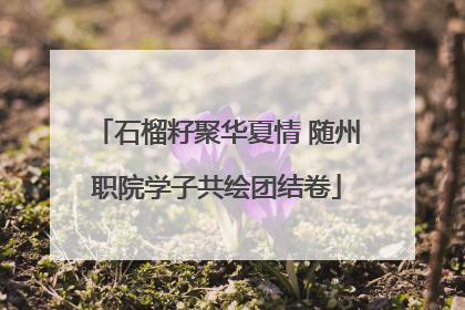石榴籽聚华夏情 随州职院学子共绘团结卷