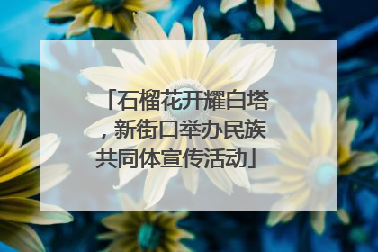 石榴花开耀白塔，新街口举办民族共同体宣传活动