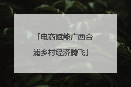 电商赋能广西合浦乡村经济腾飞