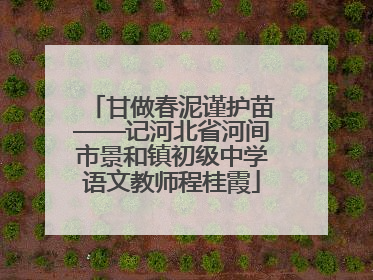 甘做春泥谨护苗——记河北省河间市景和镇初级中学语文教师程桂霞