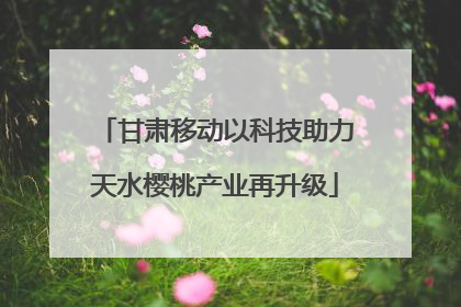 甘肃移动以科技助力天水樱桃产业再升级