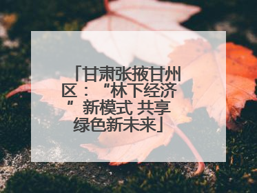 甘肃张掖甘州区：“林下经济”新模式 共享绿色新未来