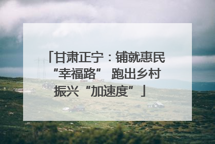 甘肃正宁：铺就惠民“幸福路” 跑出乡村振兴“加速度”