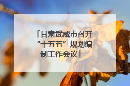 甘肃武威市召开“十五五”规划编制工作会议