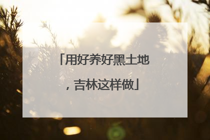 用好养好黑土地，吉林这样做