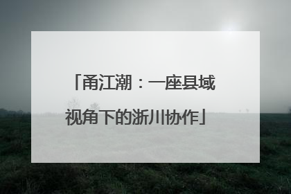 甬江潮：一座县域视角下的浙川协作
