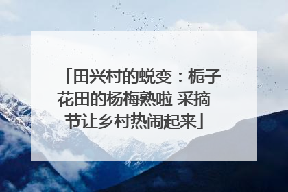 田兴村的蜕变：栀子花田的杨梅熟啦 采摘节让乡村热闹起来
