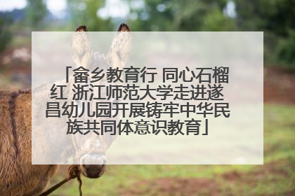 畲乡教育行 同心石榴红 浙江师范大学走进遂昌幼儿园开展铸牢中华民族共同体意识教育