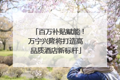 百万补贴赋能！万宁兴隆将打造高品质酒店新标杆