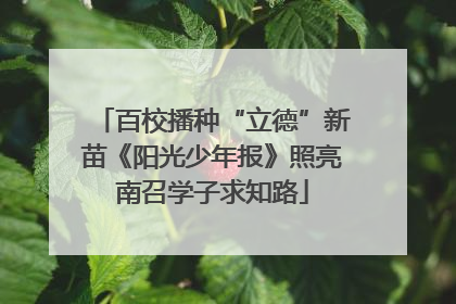 百校播种“立德”新苗《阳光少年报》照亮南召学子求知路