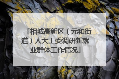 相城高新区（元和街道）人大工委调研新就业群体工作情况