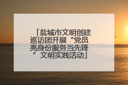 盐城市文明创建巡访团开展“党员亮身份服务当先锋”文明实践活动