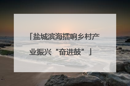 盐城滨海擂响乡村产业振兴“奋进鼓”