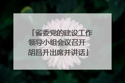 省委党的建设工作领导小组会议召开 胡昌升出席并讲话