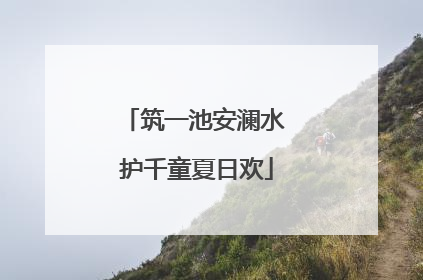 筑一池安澜水 护千童夏日欢