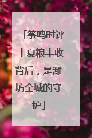 筝鸣时评丨夏粮丰收背后，是潍坊全城的守护