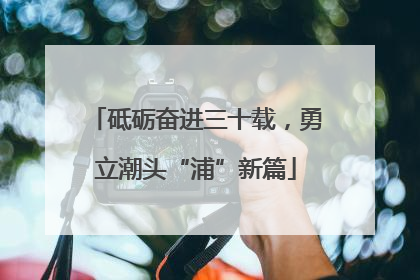 砥砺奋进三十载，勇立潮头“浦”新篇