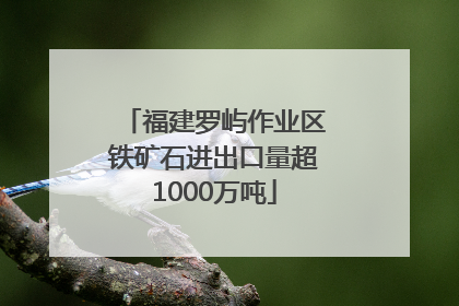 福建罗屿作业区铁矿石进出口量超1000万吨