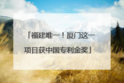 福建唯一！厦门这一项目获中国专利金奖