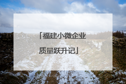 福建小微企业质量跃升记