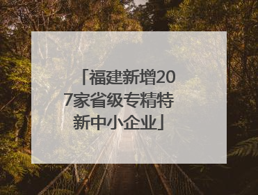 福建新增207家省级专精特新中小企业