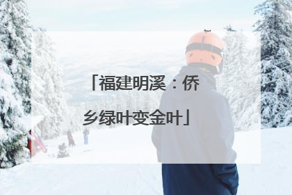 福建明溪：侨乡绿叶变金叶